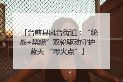 台前县凤台街道：“统战+禁烧”双轮驱动守护蓝天 “零火点”