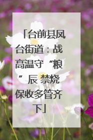 台前县凤台街道：战高温守“粮”辰 禁烧保收多管齐下