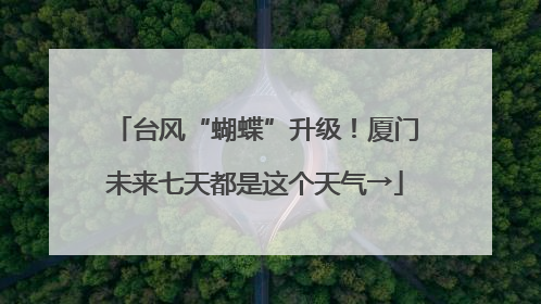 台风“蝴蝶”升级！厦门未来七天都是这个天气→