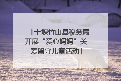 十堰竹山县税务局开展“爱心妈妈”关爱留守儿童活动