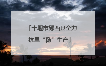 十堰市郧西县全力抗旱“稳”生产