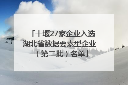 十堰27家企业入选湖北省数据要素型企业（第二批）名单