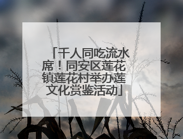 千人同吃流水席！同安区莲花镇莲花村举办莲文化赏鉴活动