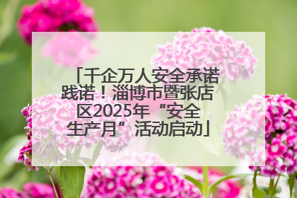 千企万人安全承诺践诺！淄博市暨张店区2025年“安全生产月”活动启动