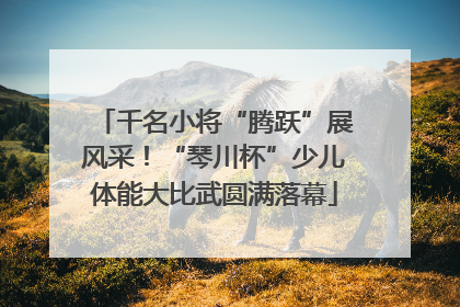千名小将“腾跃”展风采！“琴川杯”少儿体能大比武圆满落幕