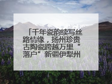 千年瓷韵续写丝路情缘，扬州珍贵古陶瓷跨越万里“落户”新疆伊犁州博物馆