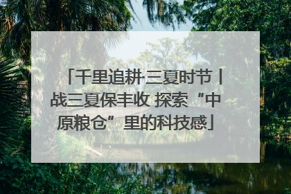 千里追耕·三夏时节丨战三夏保丰收 探索“中原粮仓”里的科技感