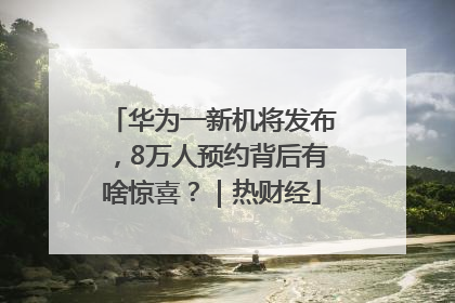 华为一新机将发布，8万人预约背后有啥惊喜？｜热财经