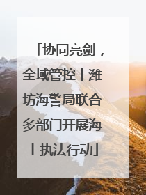 协同亮剑，全域管控丨潍坊海警局联合多部门开展海上执法行动