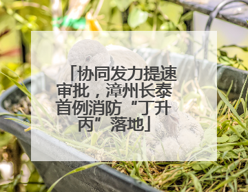 协同发力提速审批，漳州长泰首例消防“丁升丙”落地