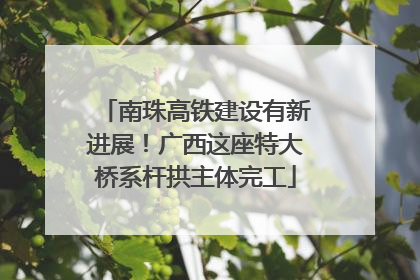 南珠高铁建设有新进展！广西这座特大桥系杆拱主体完工