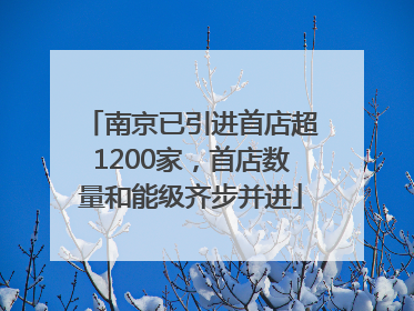 南京已引进首店超1200家，首店数量和能级齐步并进