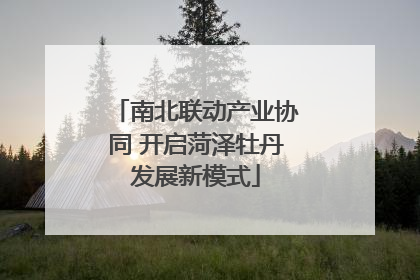 南北联动产业协同 开启菏泽牡丹发展新模式