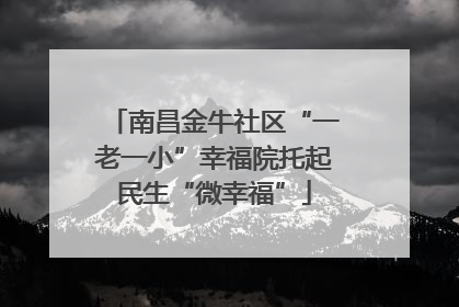 南昌金牛社区“一老一小”幸福院托起民生“微幸福”