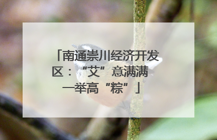 南通崇川经济开发区：“艾”意满满 一举高“粽”
