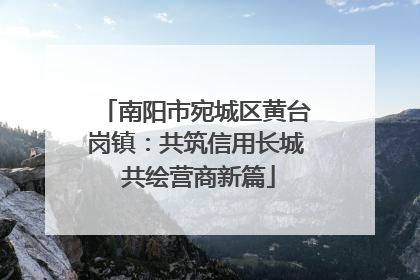 南阳市宛城区黄台岗镇：共筑信用长城 共绘营商新篇