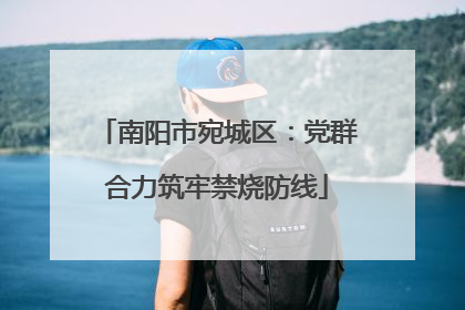 南阳市宛城区：党群合力筑牢禁烧防线