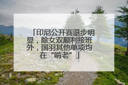 印尼公开赛退步明显，除女双顺利接班外，国羽其他单项均在“啃老”