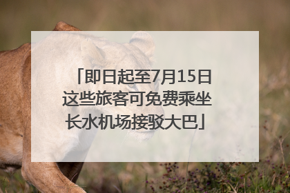 即日起至7月15日 这些旅客可免费乘坐长水机场接驳大巴