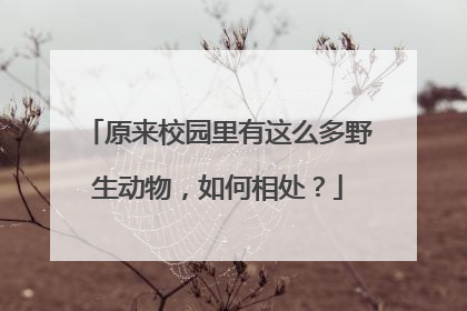 原来校园里有这么多野生动物，如何相处？