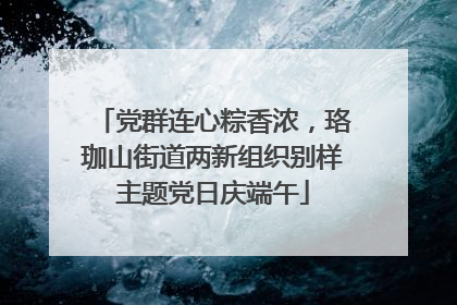 党群连心粽香浓，珞珈山街道两新组织别样主题党日庆端午