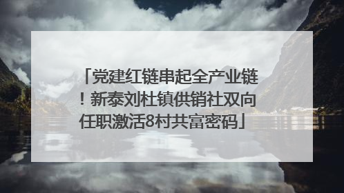 党建红链串起全产业链！新泰刘杜镇供销社双向任职激活8村共富密码
