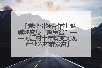 党建引领合作社 盐碱地变身“聚宝盆”——河涯村十年蝶变实现产业兴村群众富