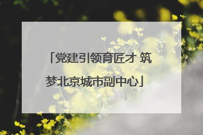 党建引领育匠才 筑梦北京城市副中心