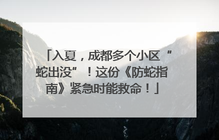 入夏，成都多个小区“蛇出没”！这份《防蛇指南》紧急时能救命！