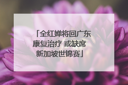 全红婵将回广东康复治疗 或缺席新加坡世锦赛