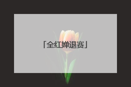 全红婵退赛