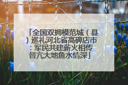 全国双拥模范城（县）巡礼河北省高碑店市：军民共建薪火相传 督亢大地鱼水情深