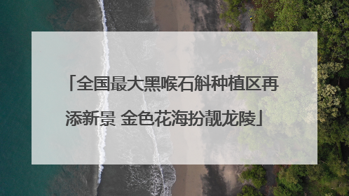 全国最大黑喉石斛种植区再添新景 金色花海扮靓龙陵
