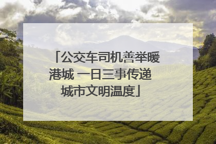 公交车司机善举暖港城 一日三事传递城市文明温度
