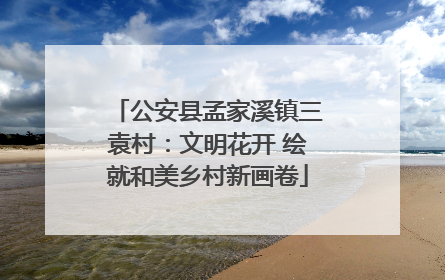 公安县孟家溪镇三袁村：文明花开 绘就和美乡村新画卷