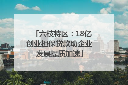 六枝特区：18亿创业担保贷款助企业发展提质加速