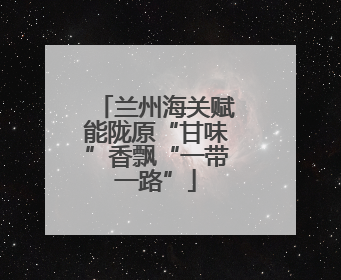 兰州海关赋能陇原“甘味”香飘“一带一路”