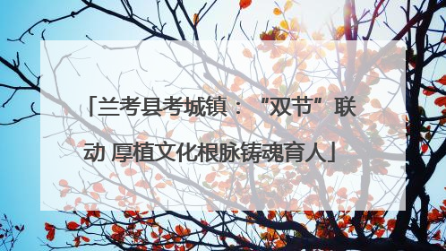 兰考县考城镇：“双节”联动 厚植文化根脉铸魂育人