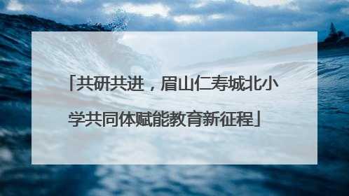 共研共进，眉山仁寿城北小学共同体赋能教育新征程