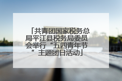 共青团国家税务总局平江县税务局委员会举行“五四青年节”主题团日活动