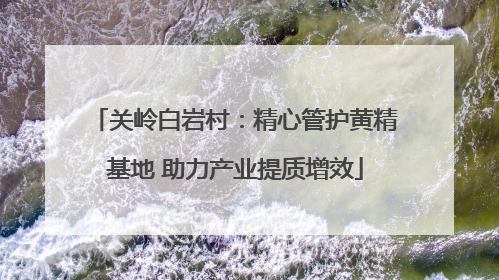 关岭白岩村：精心管护黄精基地 助力产业提质增效