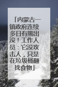 内蒙古一镇政府连续多日有熊出没！工作人员：它没攻击人，只是在垃圾桶翻找食物