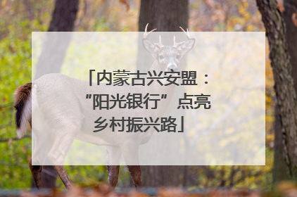 内蒙古兴安盟：“阳光银行”点亮乡村振兴路