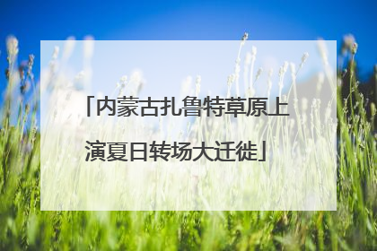 内蒙古扎鲁特草原上演夏日转场大迁徙