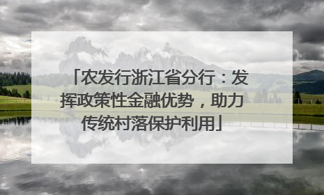 农发行浙江省分行：发挥政策性金融优势，助力传统村落保护利用
