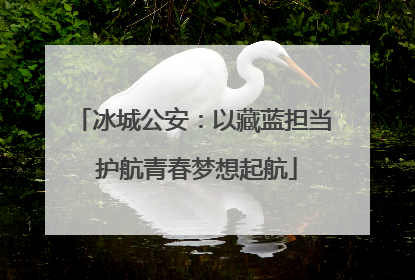 冰城公安：以藏蓝担当 护航青春梦想起航