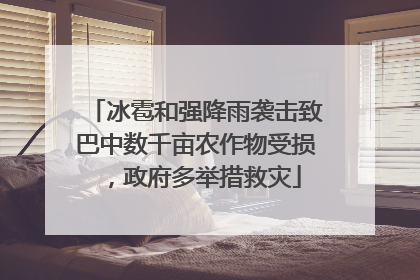 冰雹和强降雨袭击致巴中数千亩农作物受损，政府多举措救灾