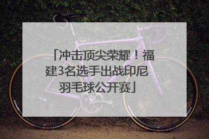 冲击顶尖荣耀！福建3名选手出战印尼羽毛球公开赛