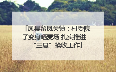凤县留凤关镇：村委院子变身晒麦场 扎实推进“三夏”抢收工作