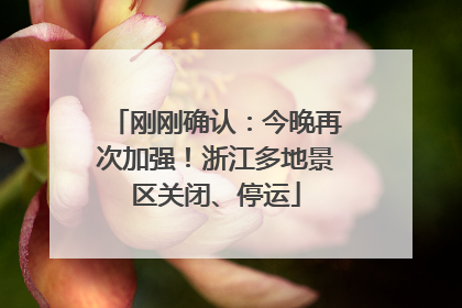刚刚确认：今晚再次加强！浙江多地景区关闭、停运